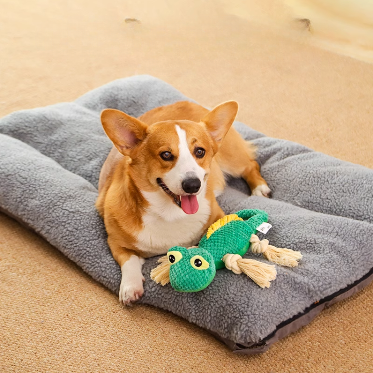 🐶👃 Foraging Fun Feeder