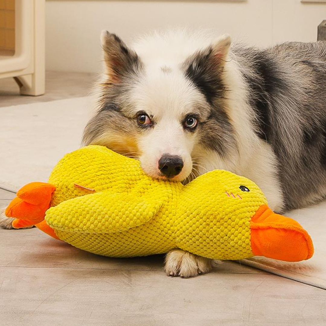 💖🦆 Adorable Duck Squeaky Toys for Dogs 🦆💖 A Joyful Playmate for Your Furry Friend. 🐶 Special Price! 💰