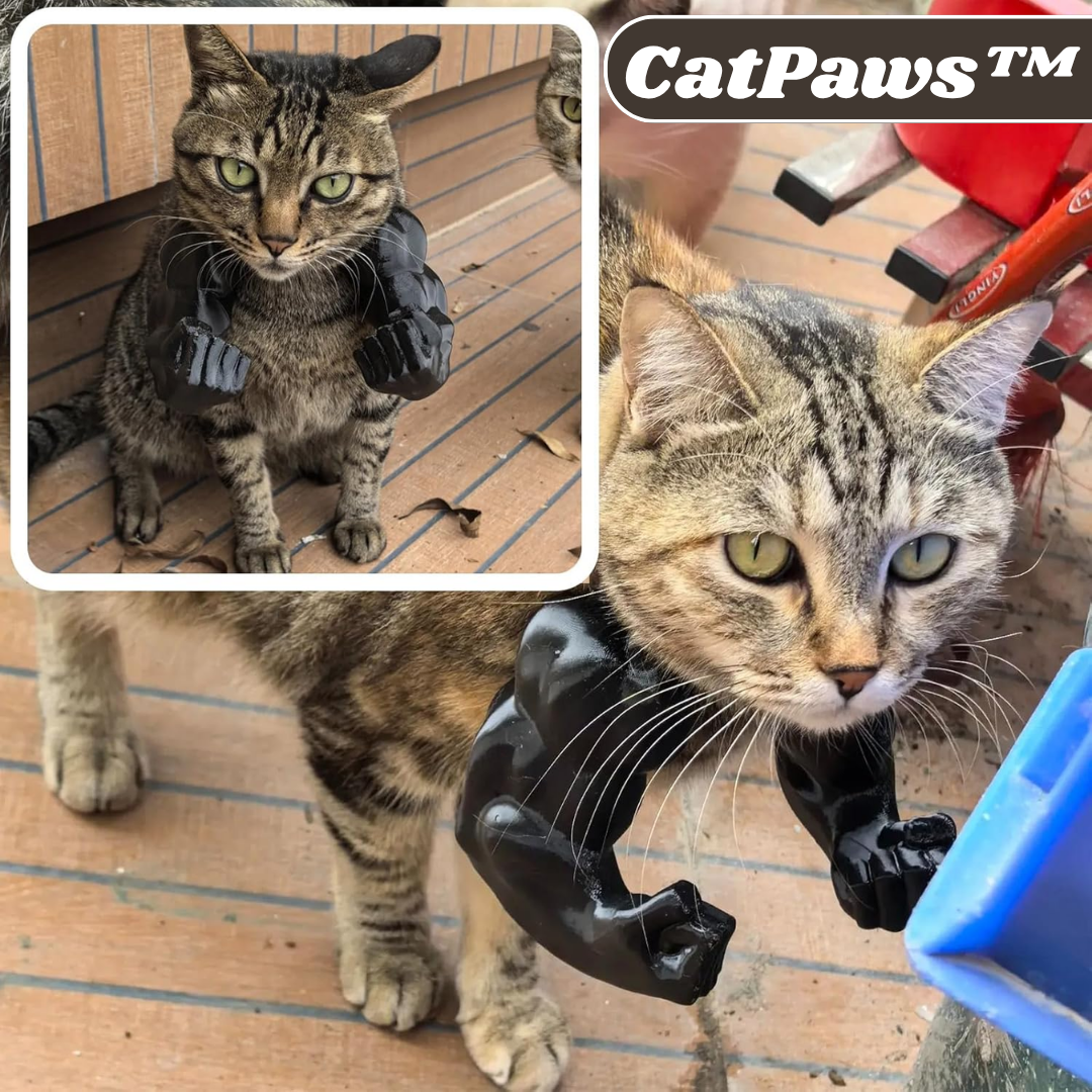 🐱 CatPaws™ Superhero Cat Arms – 1+1 FREE 🦸 Level Up Your Cat’s Cuteness Game NOW!