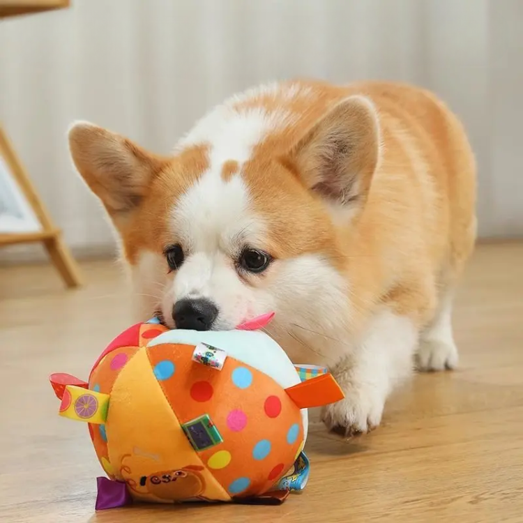 🐶 BUY 1 GET 1 FREE! Corgi-Approved Plush Bell Ball = Pup Obsession! 🎁