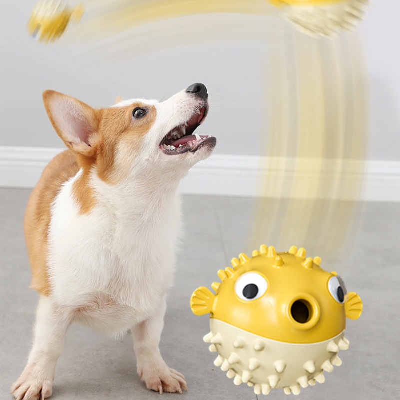 Dog Teeth Gnawing Toy