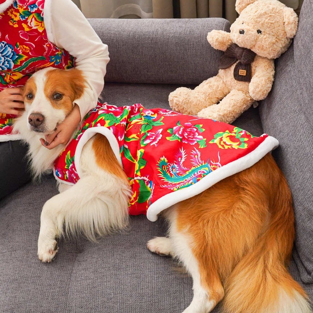 🎇 Family Ties, Fu in Style: Match Your Pet in Auspicious New Year Jackets