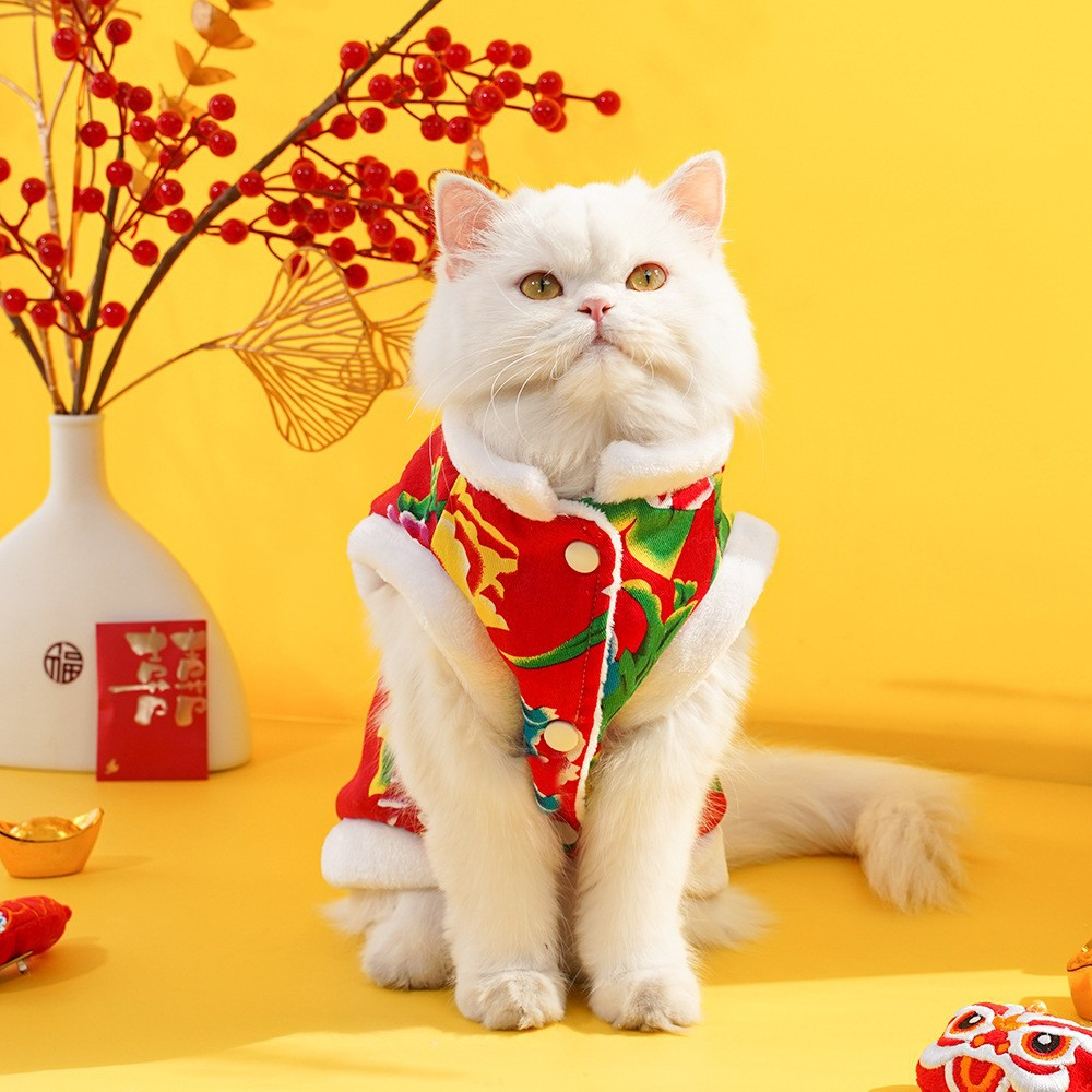 🎇 Family Ties, Fu in Style: Match Your Pet in Auspicious New Year Jackets