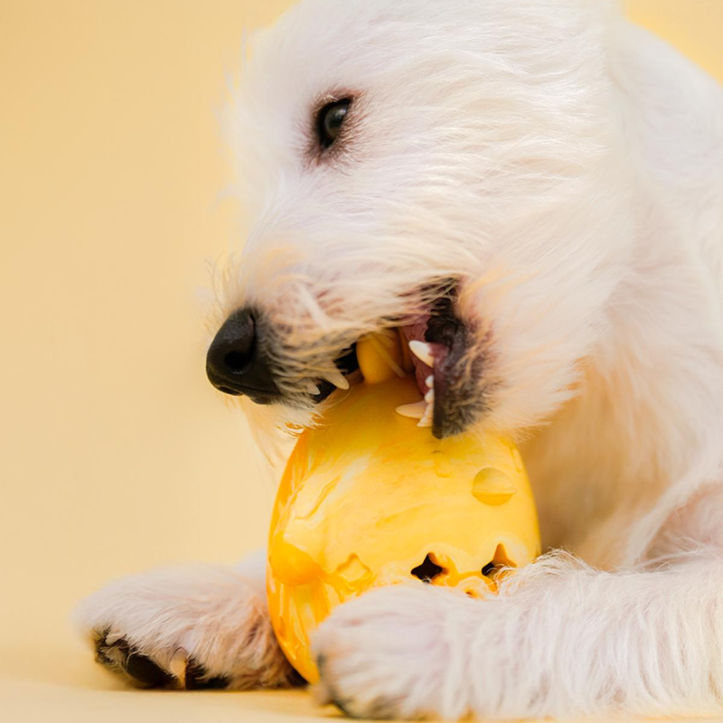Dog Food Leaking Ball Sniffe Toys