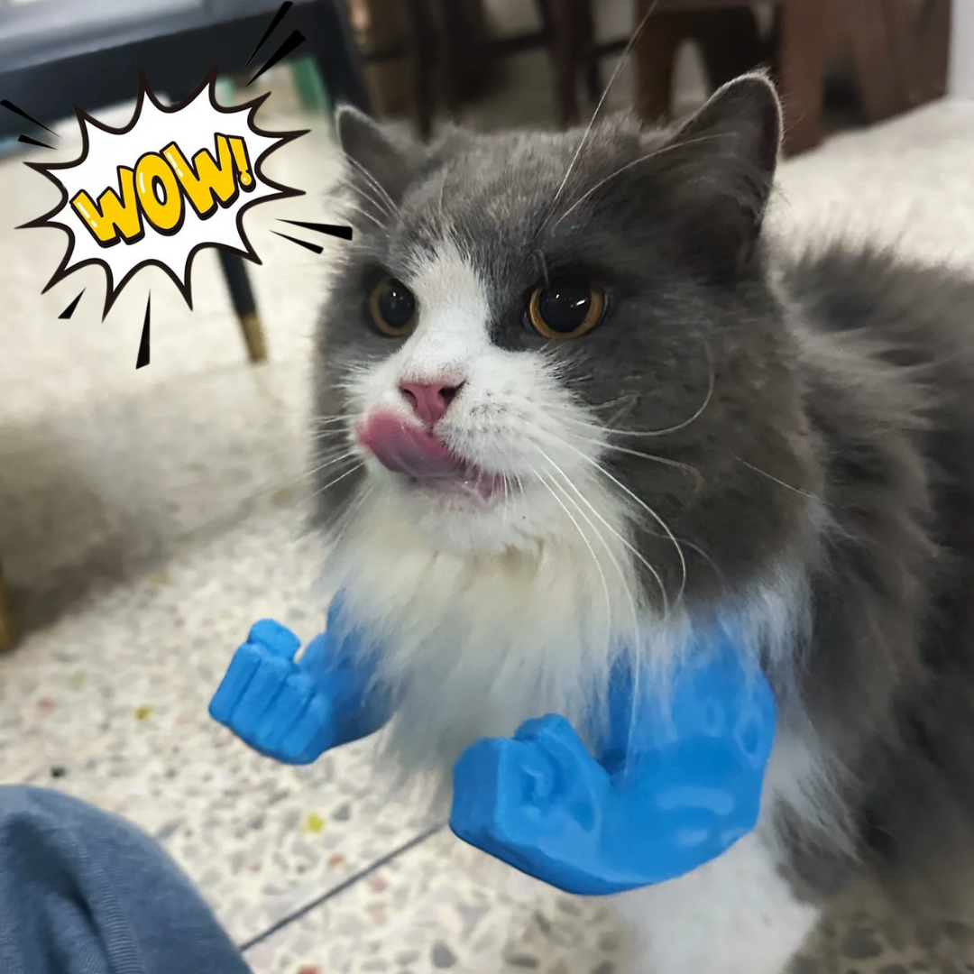 🐱 CatPaws™ Superhero Cat Arms – 1+1 FREE 🦸 Level Up Your Cat’s Cuteness Game NOW!
