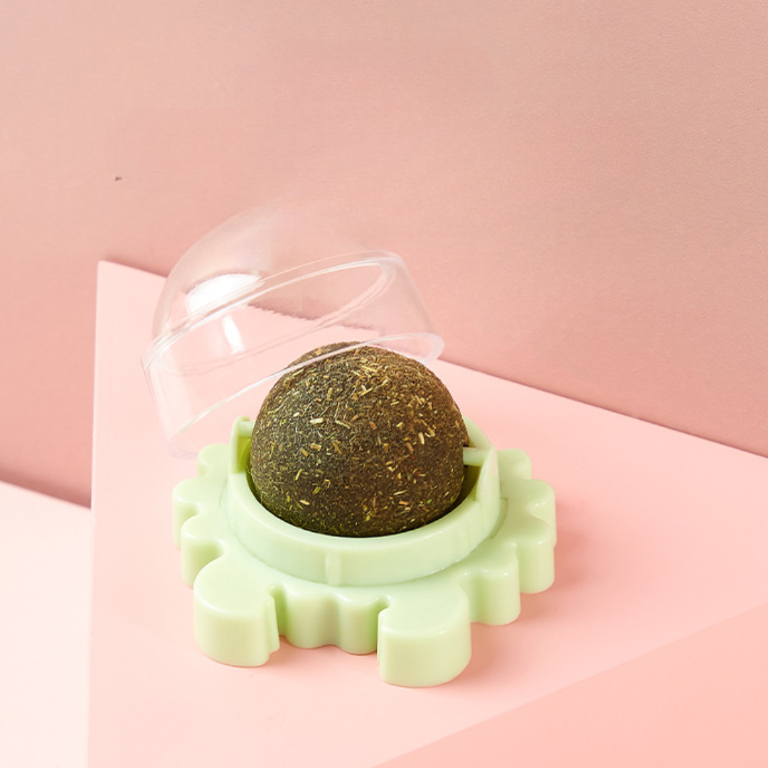 🚨 1st 200 Orders Only: 3-Pack 60% OFF 🚨 | Stock Runs Out Fast! ⏳