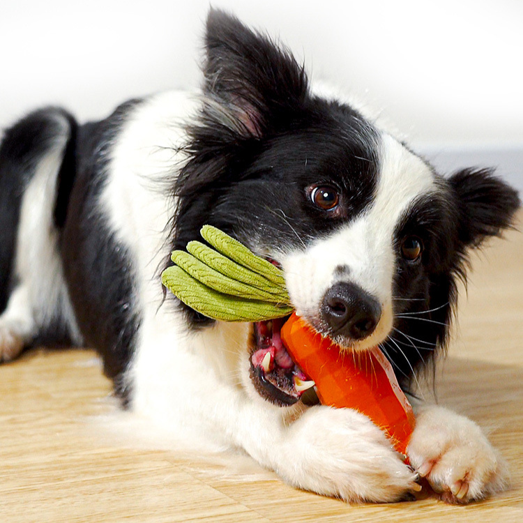 🥕 Crunch, Squeak, Bounce! Durable Carrot Dog Toy with Crinkle Paper & Squeaker 🐾
