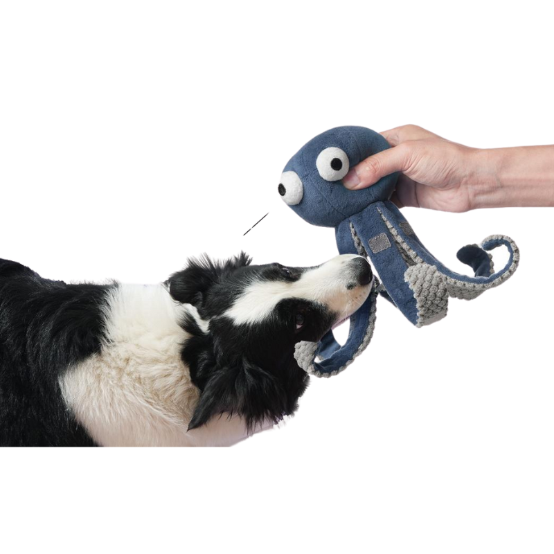 Dogs Chew And Seek Snuffle Soft Plush Toys