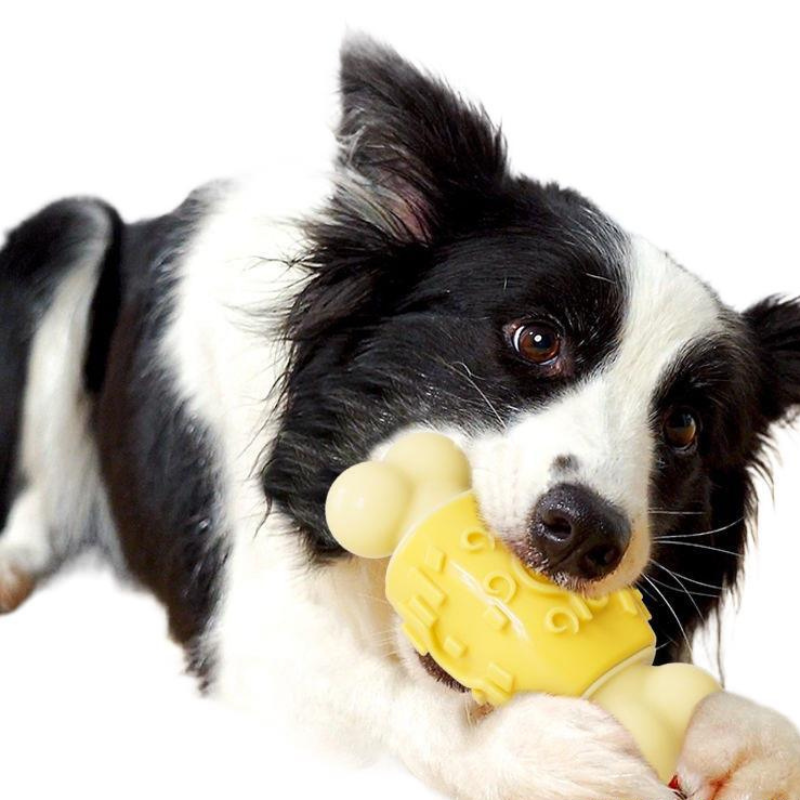 Dog Bone Toy Chew Toy