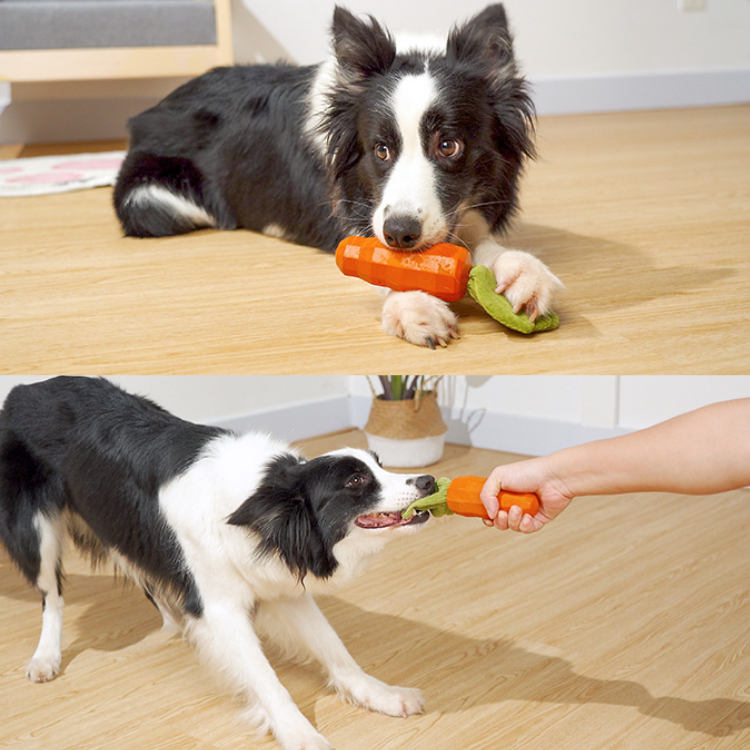 🥕 Crunch, Squeak, Bounce! Durable Carrot Dog Toy with Crinkle Paper & Squeaker 🐾