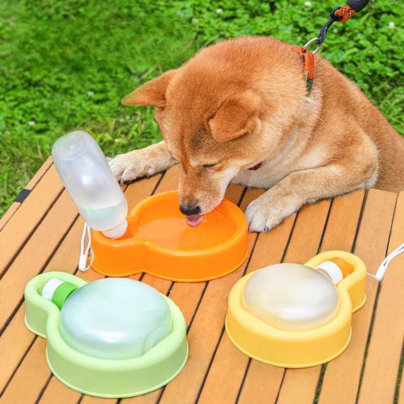 Outdoor Travel Portable Dog Water Bottle
