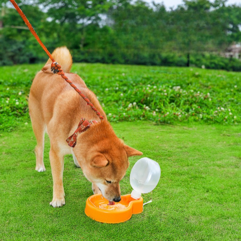 Outdoor Travel Portable Dog Water Bottle