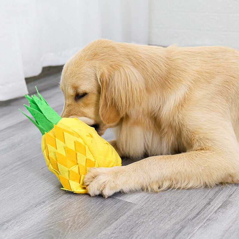 Pineapple Plush Squeak Dog Snuffle Toy